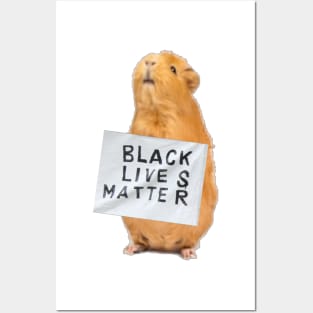 Guinea Pig Black Lives Matter Posters and Art